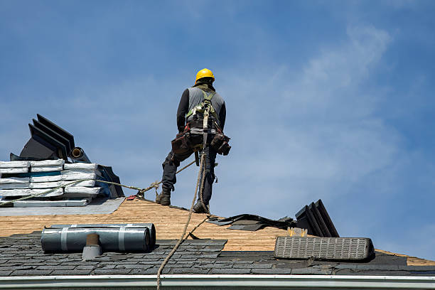 Professional Roof Installation technician working in Uehling, NE